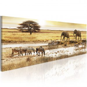 Schilderij – Africa: at the waterhole Walldeqo | Schilderij | Canvas | Fotobehang | Kamerschermen en wanddecoratie