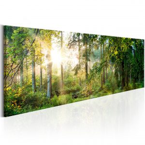 Schilderij - Forest Shelter Schilderijen > Landschappen > Bos