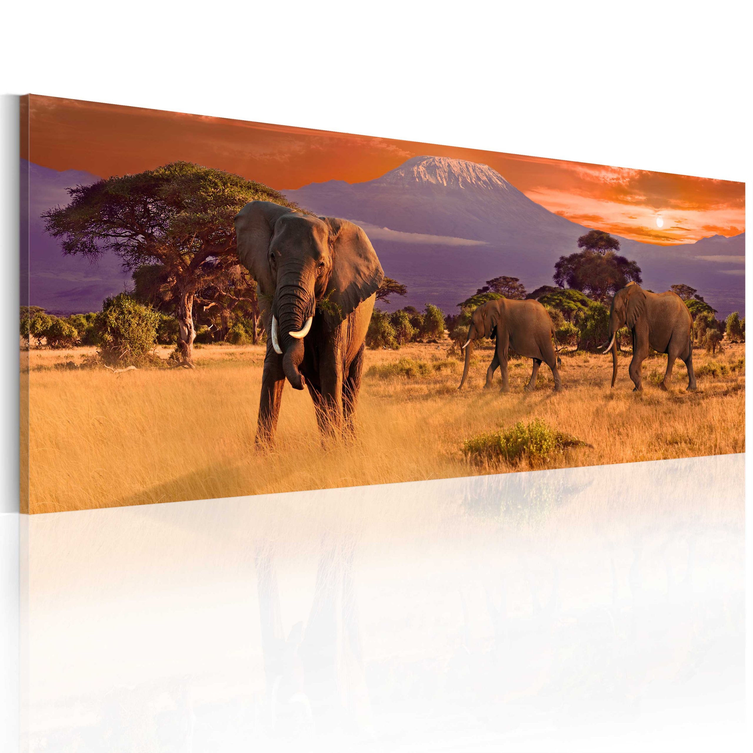 Schilderij – March of african elephants Walldeqo | Schilderij | | Fotobehang | Kamerschermen en wanddecoratie